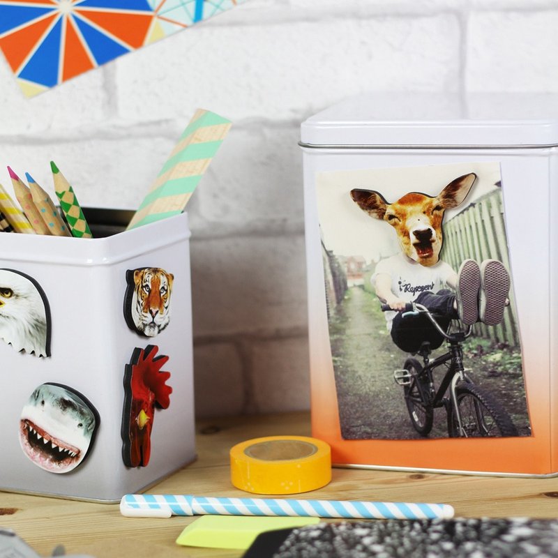 西班牙doiy- 丛林磁铁 - 冰箱贴/磁贴 - 塑料 