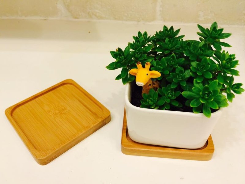 竹制杯垫底座(4件组) 防水 (不含植物) 新年 送礼 - 杯垫 - 竹 金色