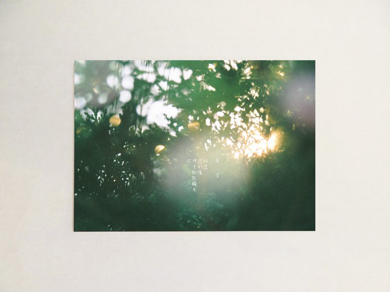 希 望 / 明信片 - 卡片/明信片 - 纸 白色