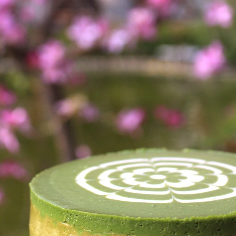 抹茶乳酪蛋糕 - 蛋糕/甜点 - 新鲜食材 绿色