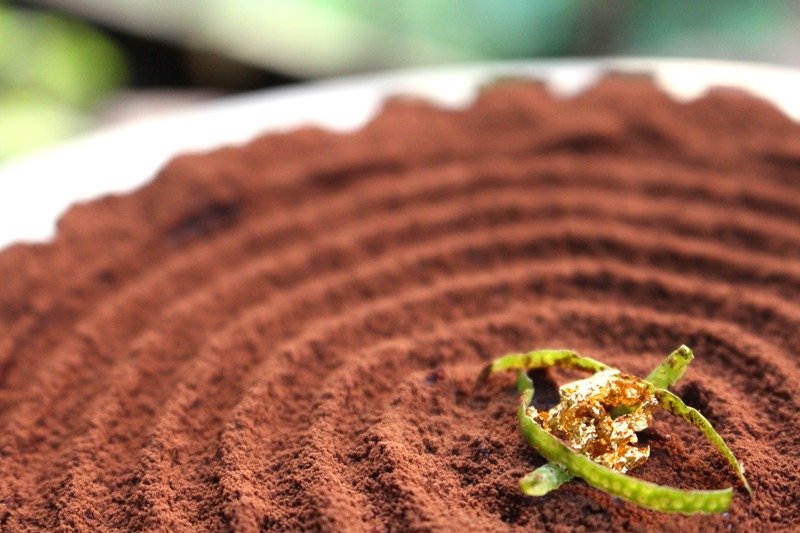 生巧克力塔 - 巧克力 - 新鲜食材 黑色