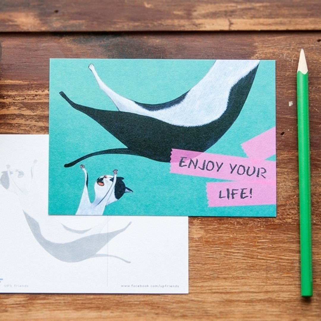 接猫系列_ENJOY YOUR LIFE! - 卡片/明信片 - 纸 多色