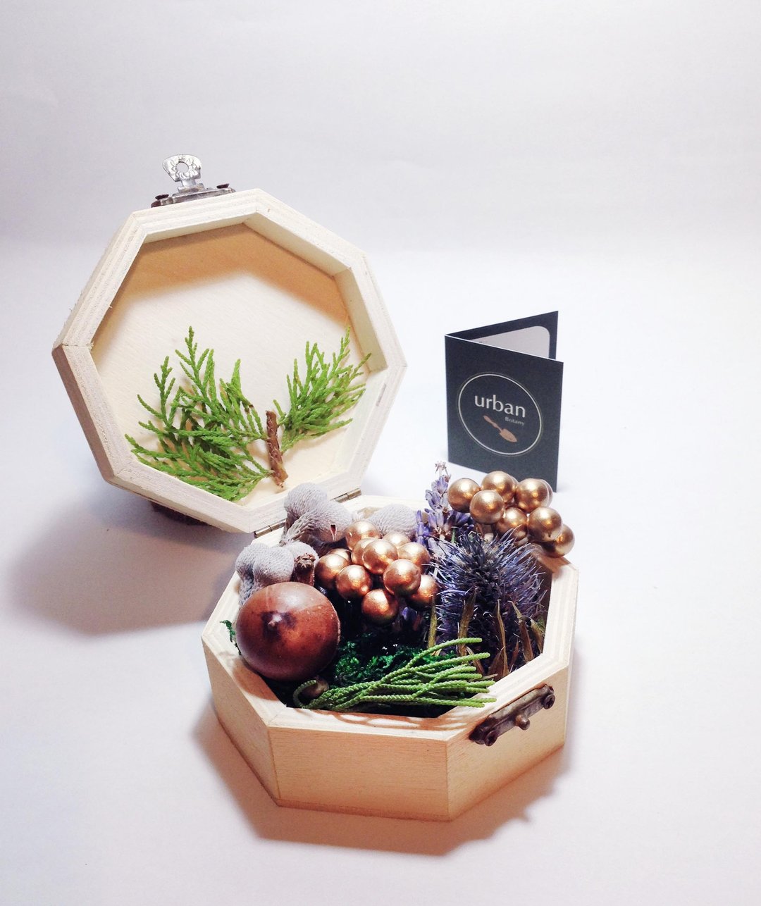 ◥Fantastic Small Baby 神奇宝贝花草盒 -冬季限定自然薰衣草香氛造型礼物盆/交换礼物 - 植栽/盆栽 - 植物．花 紫色