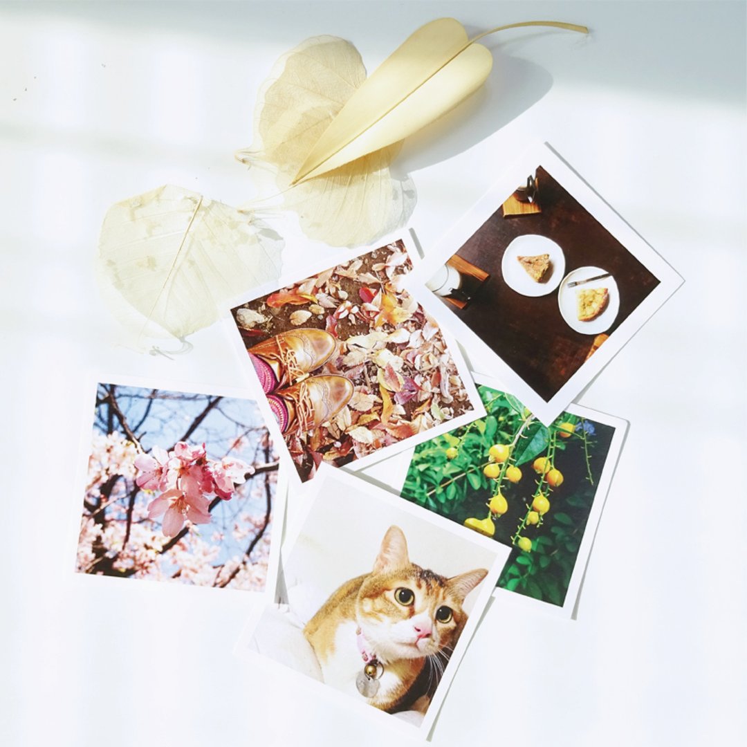 定制手作方形照片8张(スクエアの写真 Square Photo) - 卡片/明信片 - 纸 