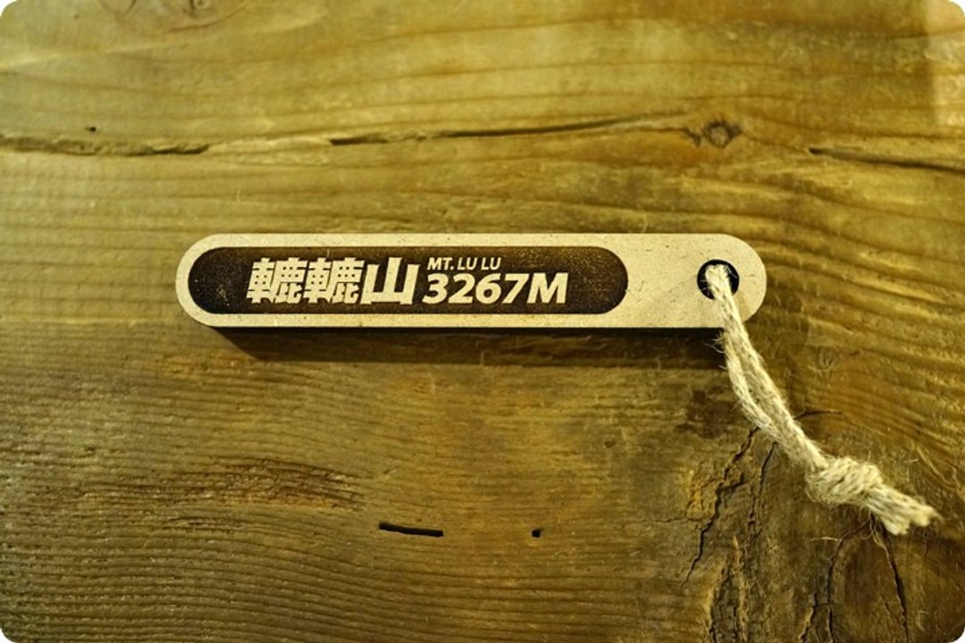 100 PEAKS of TAIWAN台湾百岳吉拿棒-辘辘山 057 - 其他 - 木头 咖啡色