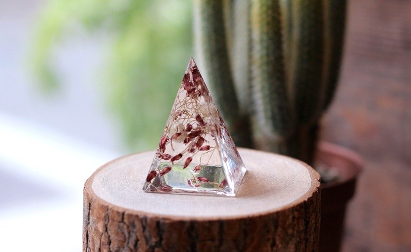 植物艾迪 ♪ 锥形纸镇 - 植栽/盆栽 - 植物．花 粉红色