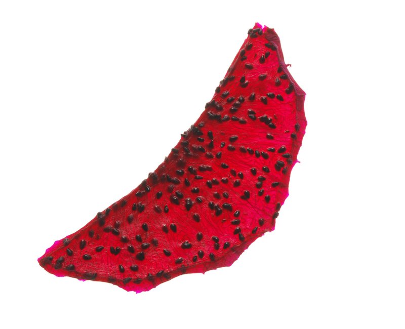 零添加果干_婚礼小物 - 水果干 - 新鲜食材 