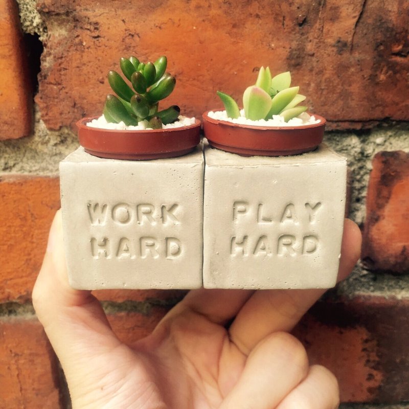 Work Hard&Play Hard 认真工作~用力玩!!!磁铁盆栽 - 植栽/盆栽 - 水泥 灰色