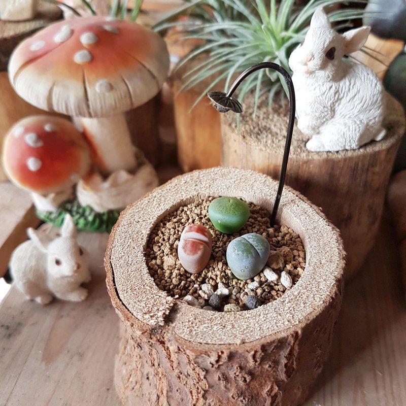 树上长了玉石小精灵【Pixies of jade grow in the tree】 - 植栽/盆栽 - 木头 咖啡色
