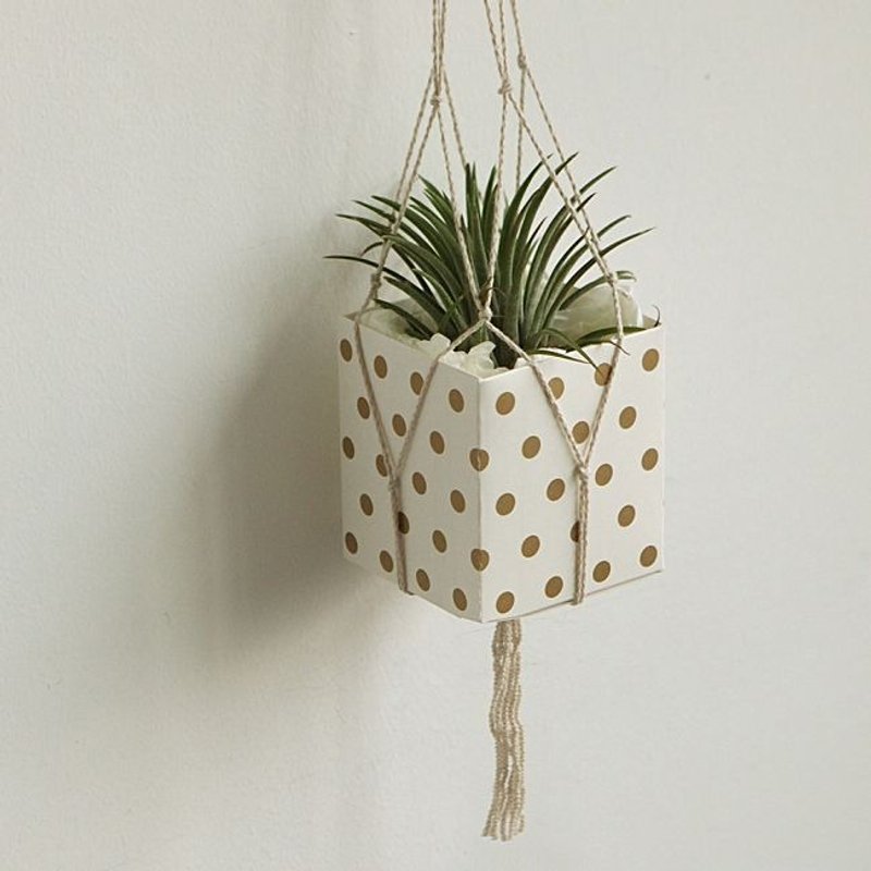 Dailylike 派对方块礼物盒组S-10 金色点点,E2D38902 - 包装材料 - 纸 金色