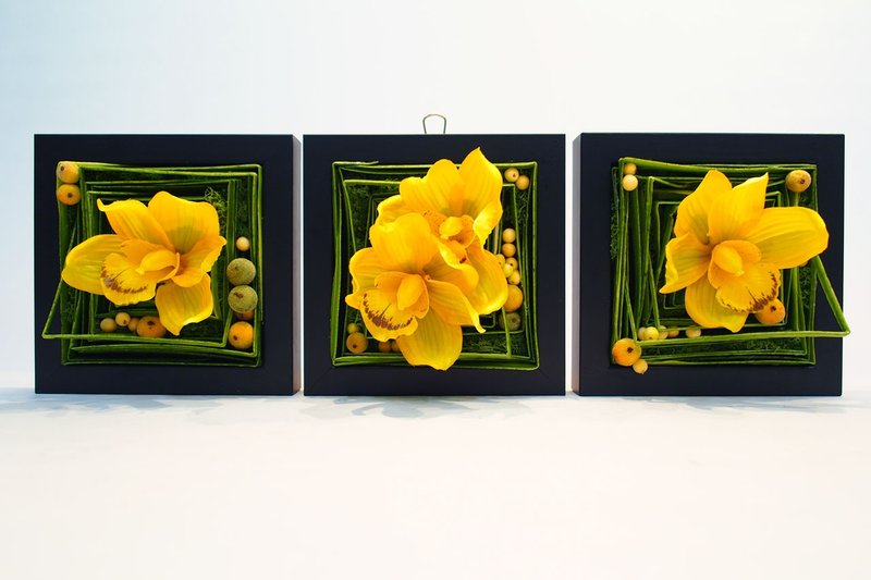 人造花艺-黄东亚兰框饰  (随机出货) - 植栽/盆栽 - 其他材质 黄色