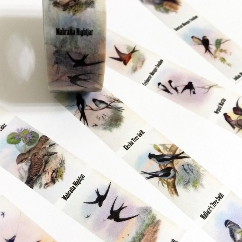 纸胶带 燕雀相贺 - 纸胶带 - 纸 