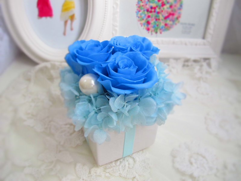 恒星花盆栽－蓝色狂想曲 - 植栽/盆栽 - 植物．花 蓝色