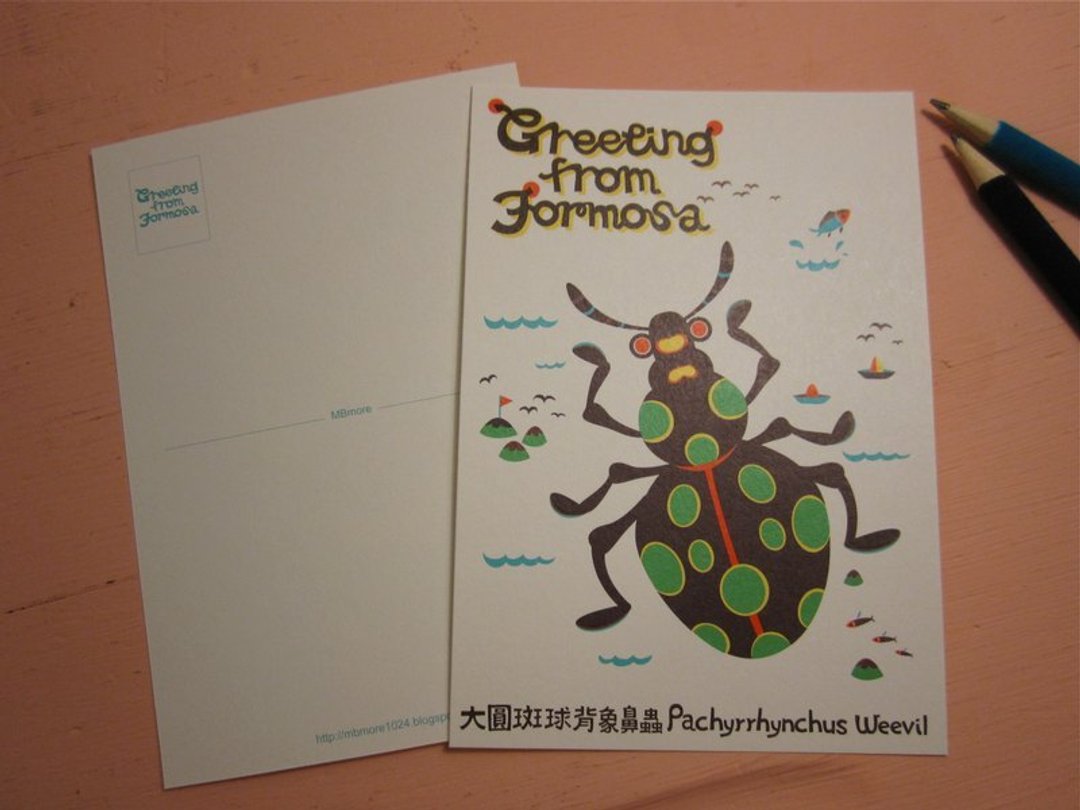 版印明信片：Greeting from Formosa台湾特有种生物明信片-大圆斑球背象鼻虫 - 卡片/明信片 - 纸 咖啡色