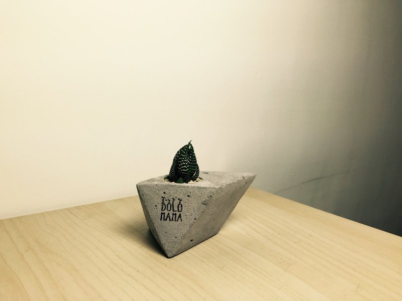 角头 鹰爪-多肉植物 水泥盆栽 交换礼物 - 植栽/盆栽 - 其他材质 灰色