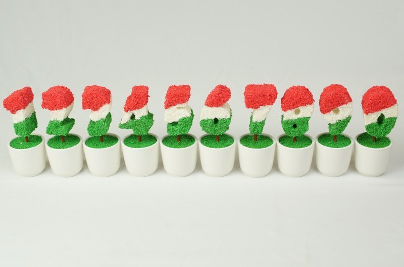 [BONSAI MAN] 生日小树 - 摆饰 - 其他材质 绿色