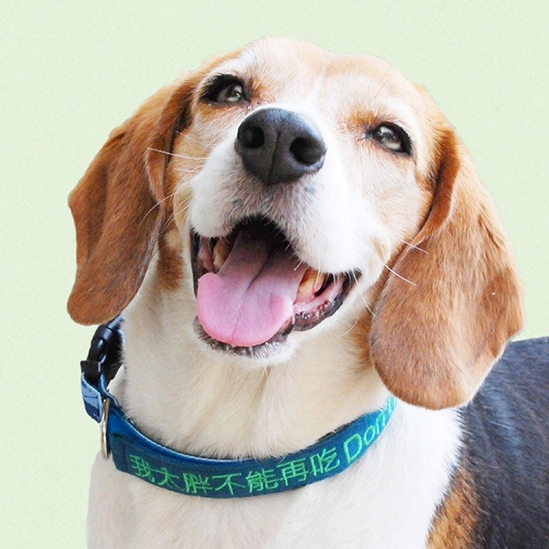 (M)快扣项圈+牵绳组  几何印花蓝 - 项圈/牵绳 - 绣线 蓝色