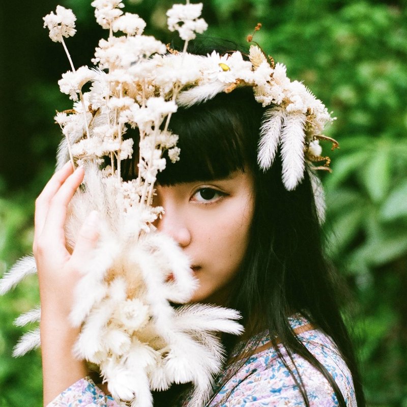 猫初花 | 白色莉娜干燥捧花 婚纱 摄影 礼物 - 植栽/盆栽 - 植物．花 白色