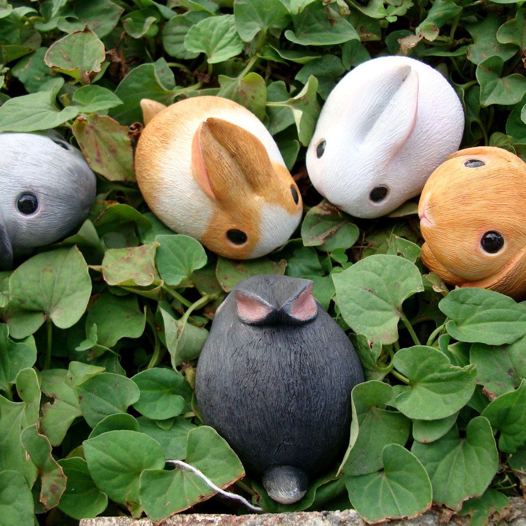 疗愈圆滚滚系列-兔子兔子 Rabbit/Bunny - 玩偶/公仔 - 塑料 