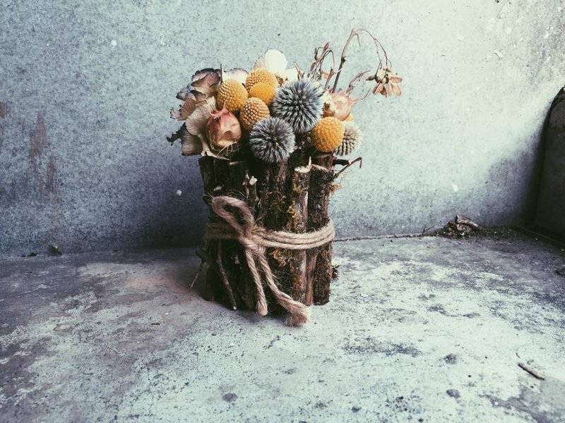 享生活。Beginning 干燥花设计盆花 - 植栽/盆栽 - 植物．花 橘色