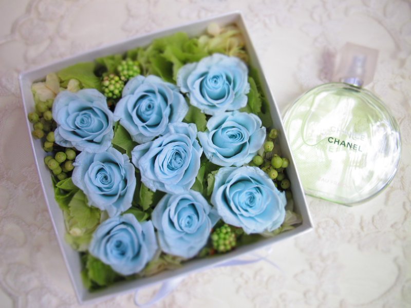 花盒系列－PURE 不凋花 - 植栽/盆栽 - 植物．花 白色