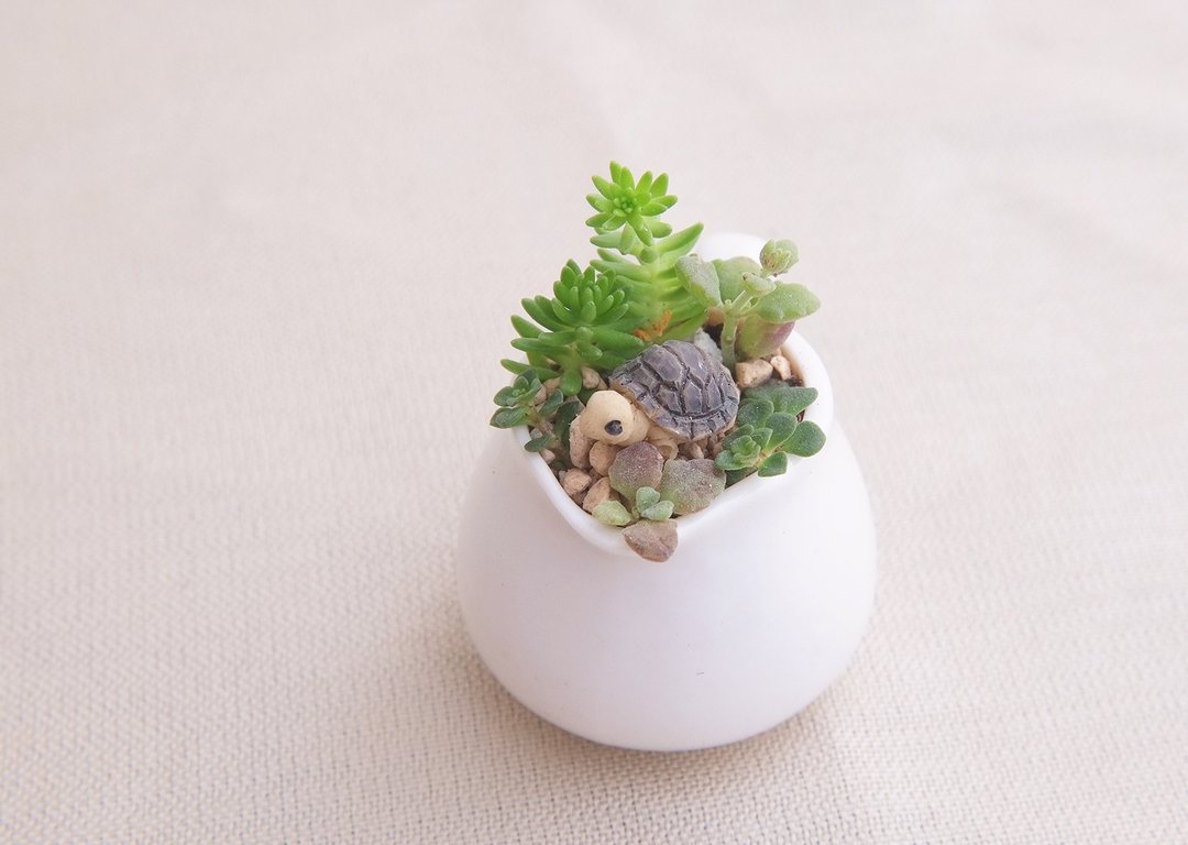 〈大肉壶〉多肉植物 大肉壶 瓷器 盆栽  < Succulent pot > - 植栽/盆栽 - 其他材质 多色