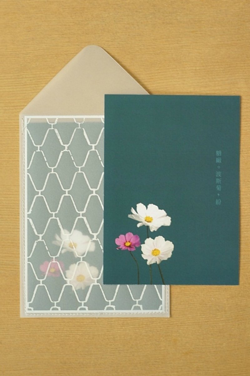 “窗外风景/游台南”台南季节花朵卡片＆台南老窗花描图纸信封袋 -波斯菊（五种台南花朵 x 三种台南铁花窗） - 卡片/明信片 - 纸 蓝色