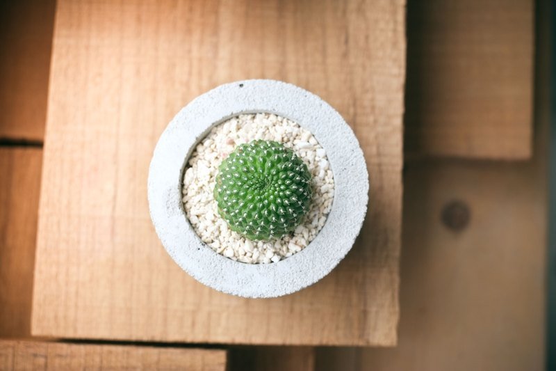 水泥植栽 第四号 - 植栽/盆栽 - 水泥 灰色