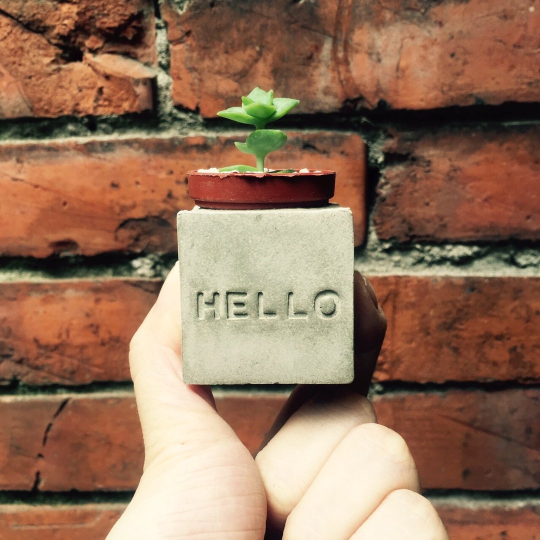 Hello~!!磁铁多肉盆栽 - 植栽/盆栽 - 水泥 灰色