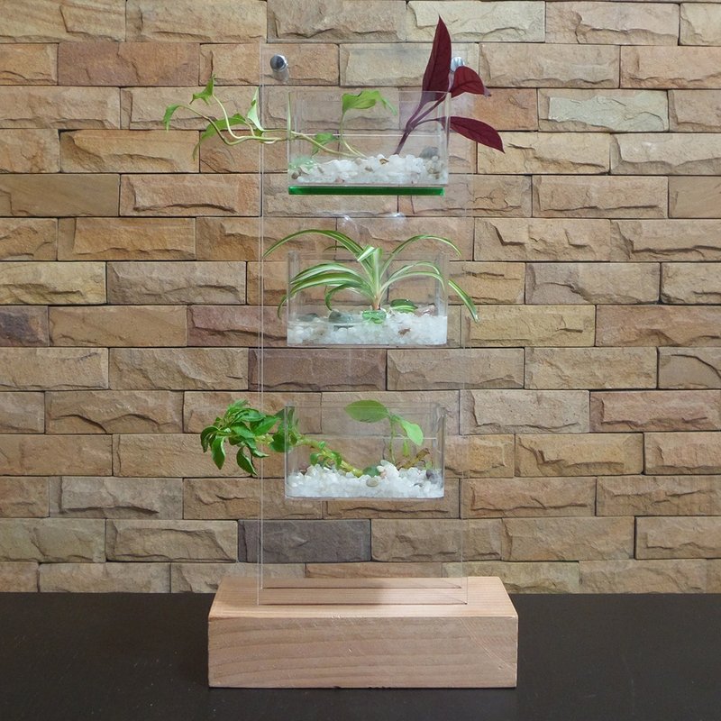 Greenolory LED夜灯 水栽/土栽植物绿墙 - 植栽/盆栽 - 木头 咖啡色