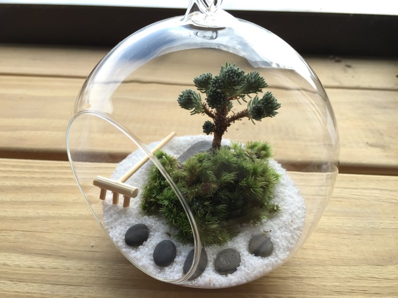 ［纯自然］ diy组 日式 禅庭 沙盘 禅 枯山水 玻璃球 盆栽 多肉 植物 送礼 疗愈 小物 zen potted， - 植栽/盆栽 - 植物．花 绿色