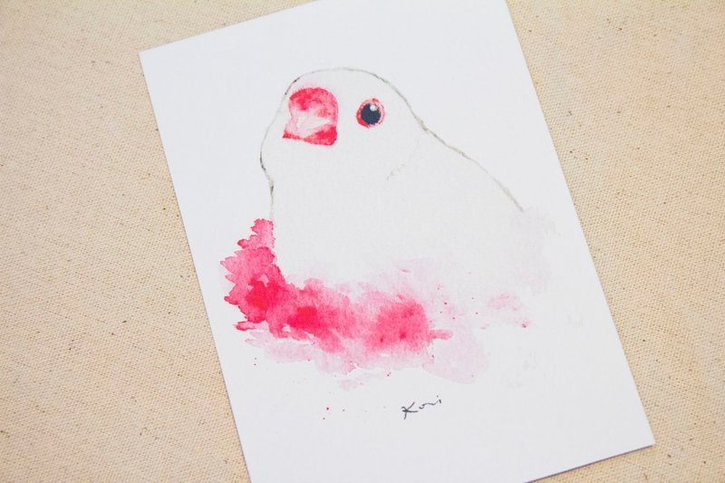 白文鸟 手绘水彩风格明信片 - 卡片/明信片 - 纸 多色