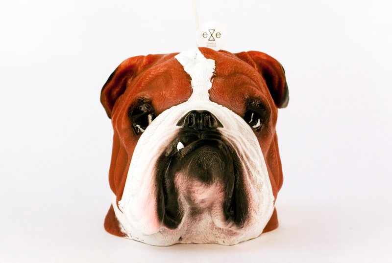 彩绘版英国斗牛犬 狗造型蜡烛 Painted Bulldog Candle - 蜡烛/烛台 - 蜡 咖啡色
