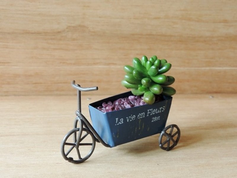 疗育系 · 植物花园 · 复古脚踏车 - 植栽/盆栽 - 植物．花 