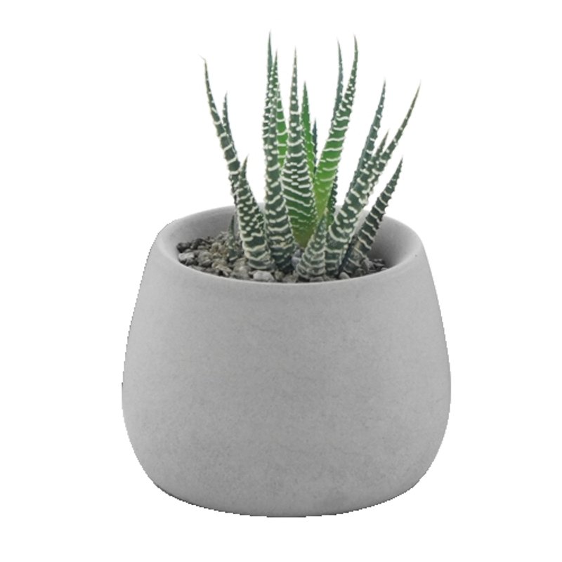 KALKI'D 亲水泥花器 - 圆器(短) (水泥 / 工业风 / 植栽 ) - 植栽/盆栽 - 水泥 灰色