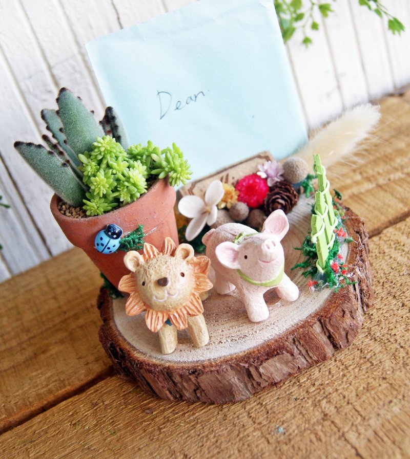 木轮名片座X多肉植栽 - 文件夹/资料夹 - 植物．花 