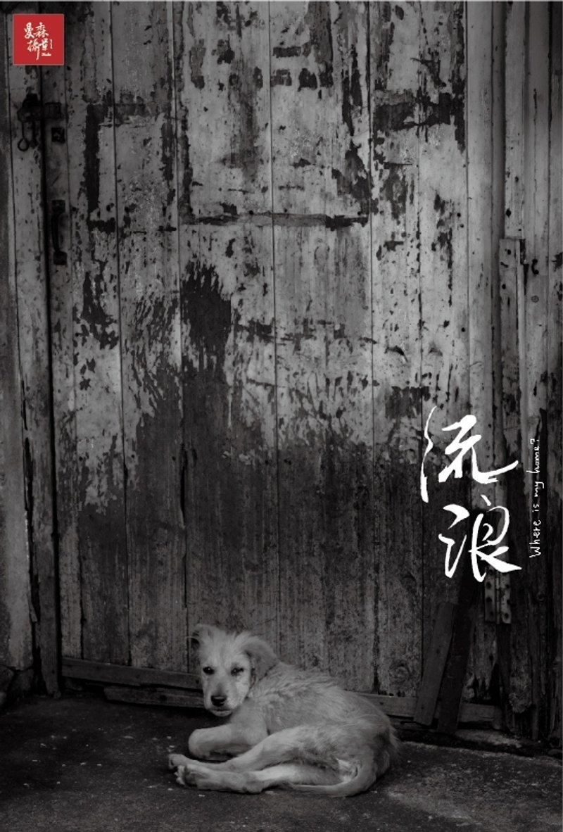 明信片 / 流浪摄影纪实系列 # 07 · 在这等你 - 卡片/明信片 - 纸 黑色