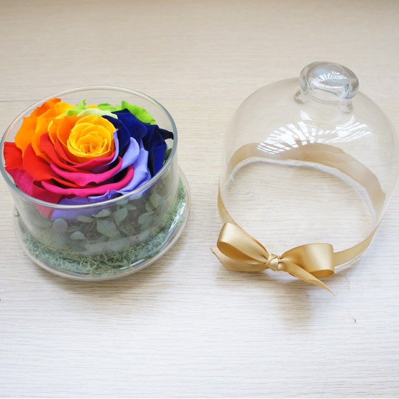 【幸运彩虹】 玫瑰不凋花玻璃罩 - 植栽/盆栽 - 玻璃 多色