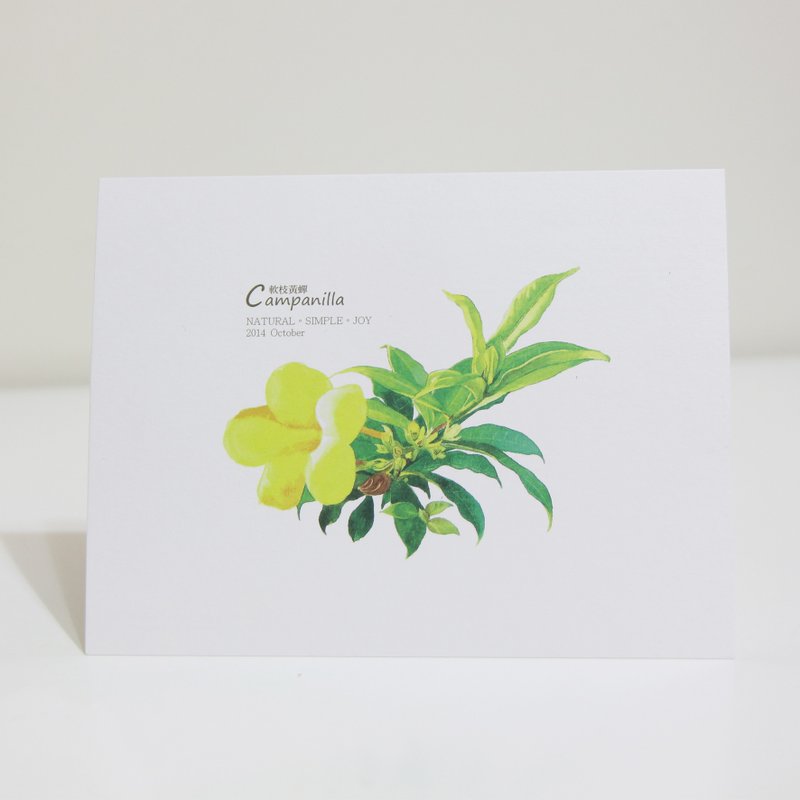 湘-NSJ 手绘 软枝黄蝉  明信片 - 卡片/明信片 - 纸 多色