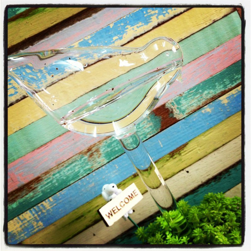 咕咕鸟花插浇花器 - 植栽/盆栽 - 玻璃 灰色