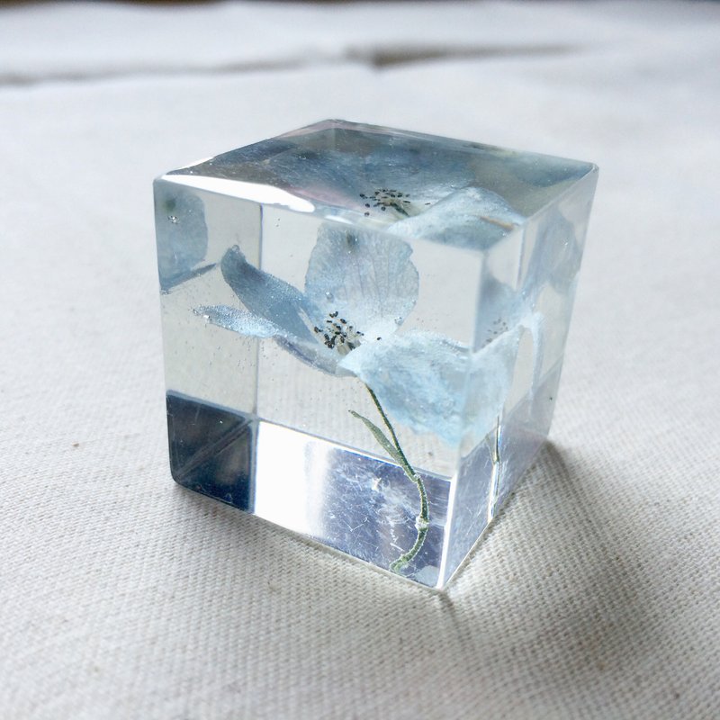 【立体花摆设系列】真花/立体干燥花/立方体桌上小摆设/全人手制作/ - 摆饰 - 其他材质 