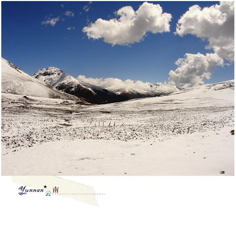 云南旅行摄影明信片 - 卡片/明信片 - 纸 