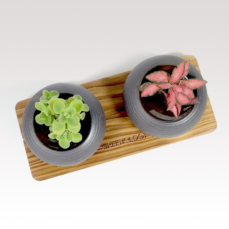 Greenology 紫砂花插配木底座 - 植栽/盆栽 - 木头 咖啡色