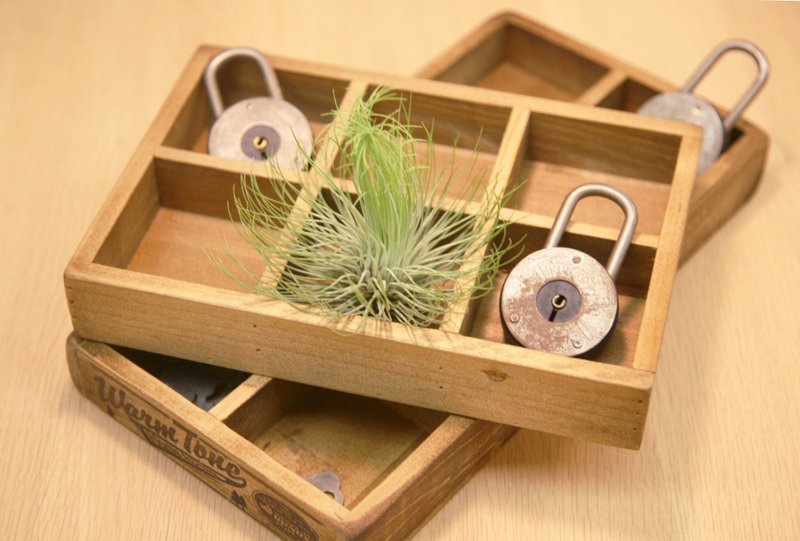 DULTON 六格收纳木盒 - 茶 - 木头 