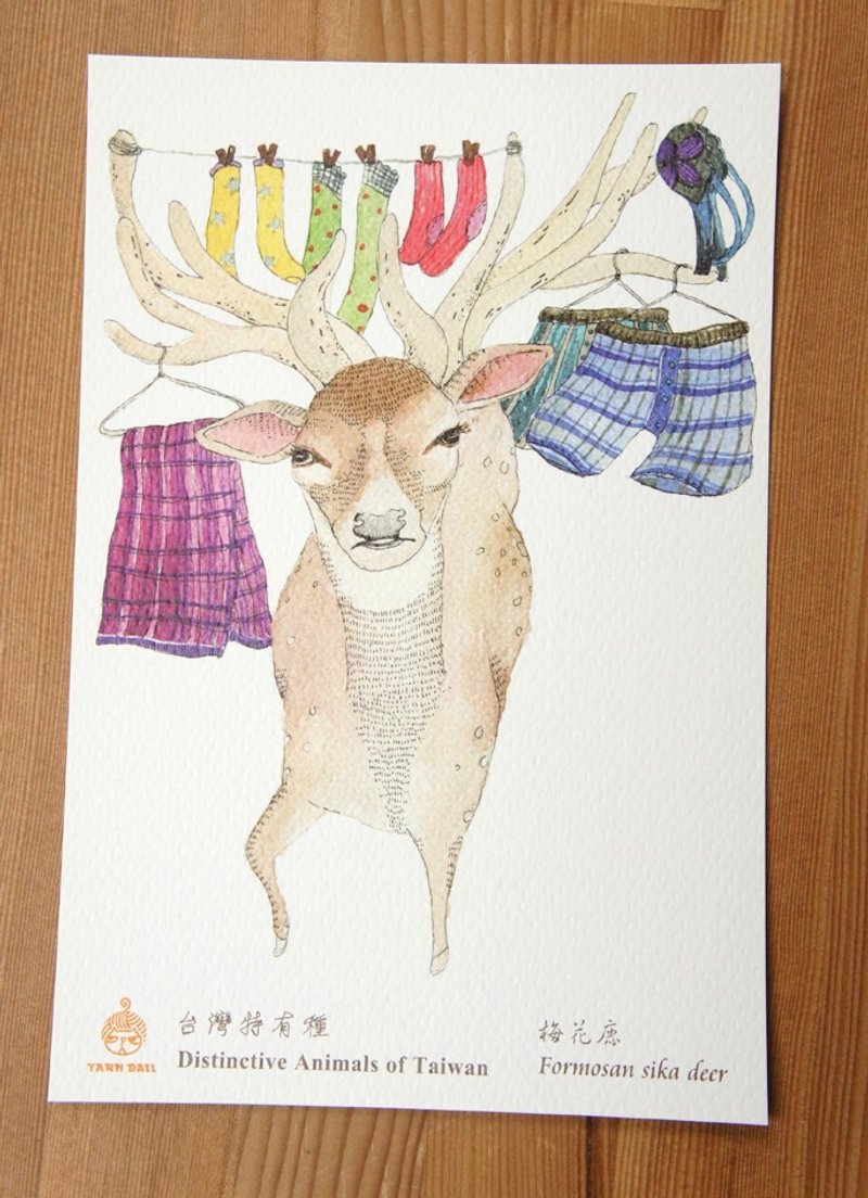 针线球 台湾特有种明信片 (单张) - 卡片/明信片 - 纸 金色