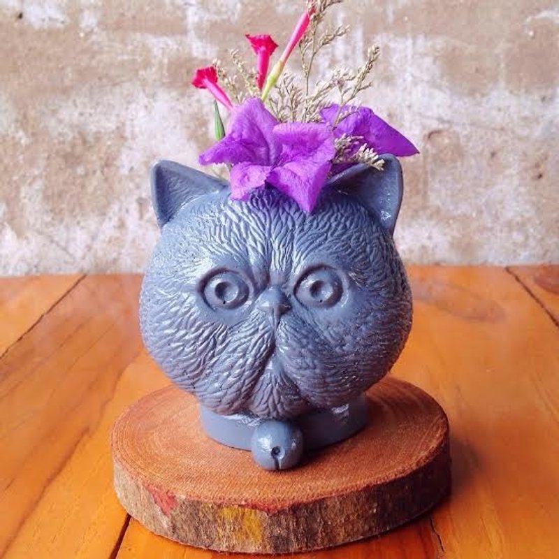 喵星人树胶盆栽（蓝灰色） - 包装材料 - 其他材质 灰色