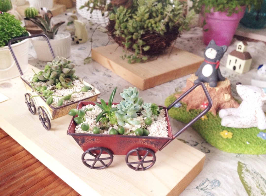(盆栽) 小推车 Little Cart - 植栽/盆栽 - 其他金属 咖啡色