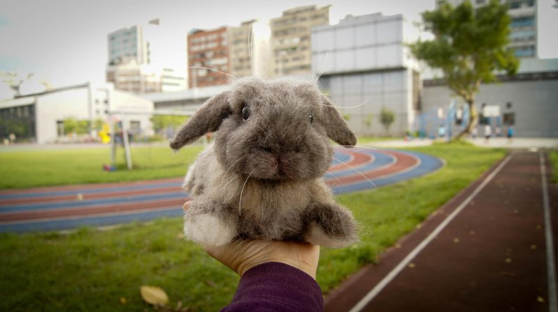 【羊乐多 X 羊毛毡】宠物复刻 兔宝 宠物分身询问区~请勿下标 - 玩偶/公仔 - 羊毛 灰色