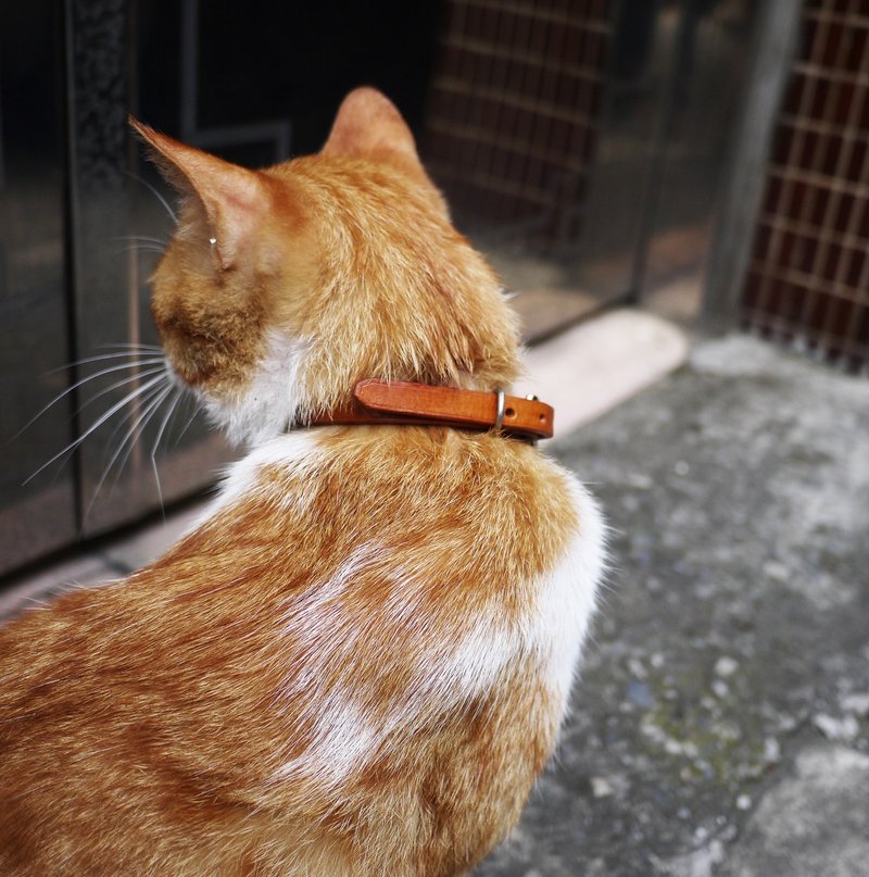 HIKER / Cat's collars (Italy leather with planet tanned) - 项圈/牵绳 - 真皮 咖啡色