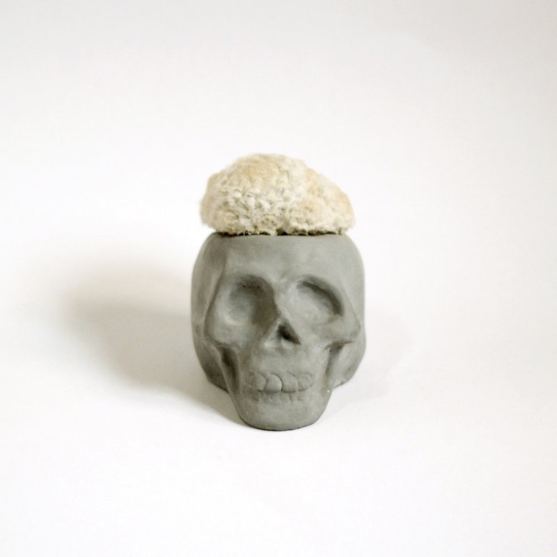 Black Skull - 黑头颅盆(不含植物) - 植栽/盆栽 - 水泥 黑色